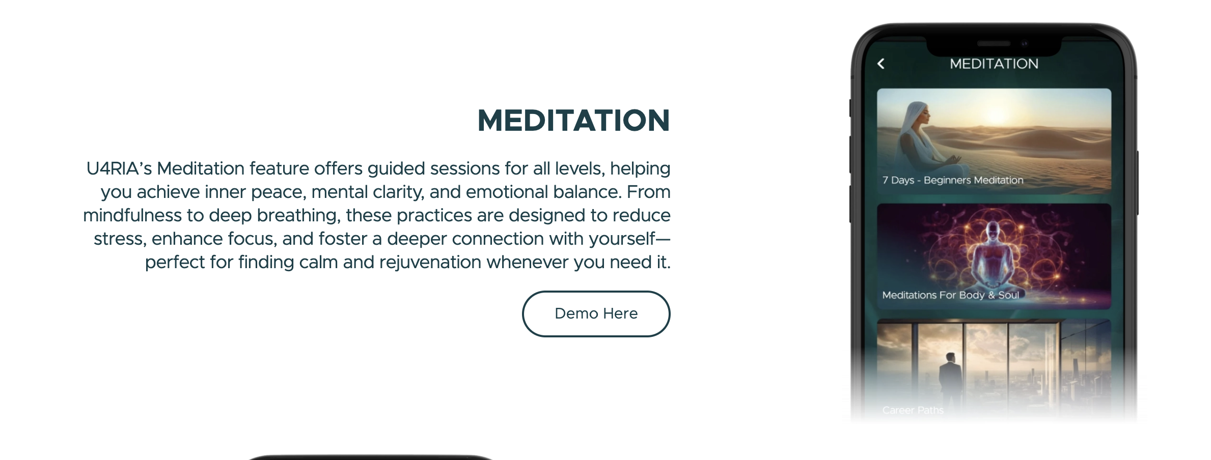 Meditation feature showing guided sessions and practices